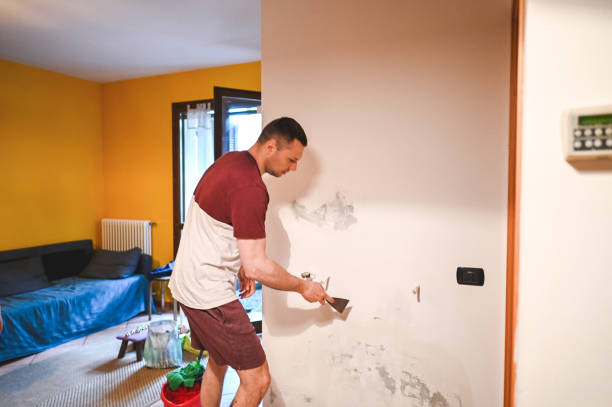 Best Home Mold Removal  in Cartervle, IL